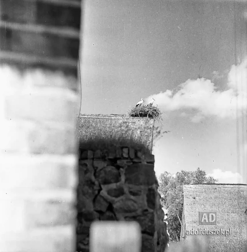 1955-Kaszuby-033