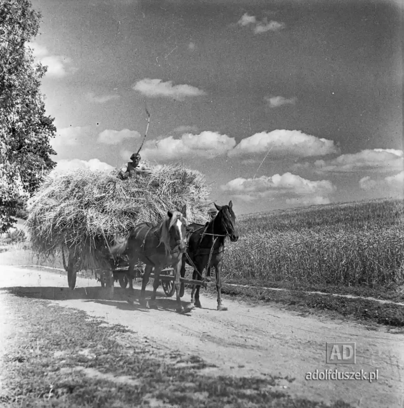 1955-Kaszuby-034