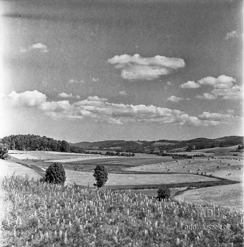 1955-Kaszuby-035