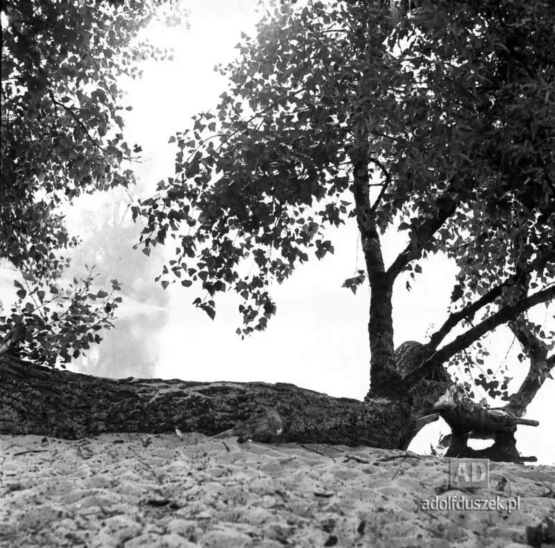 1955-Kaszuby-040