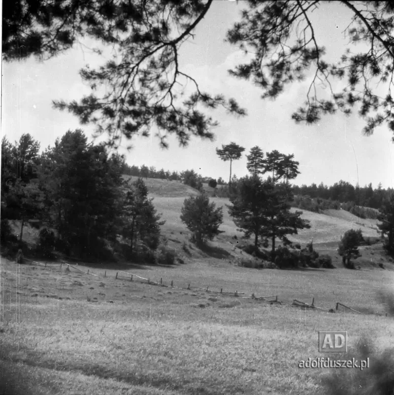 1955-Kaszuby-060