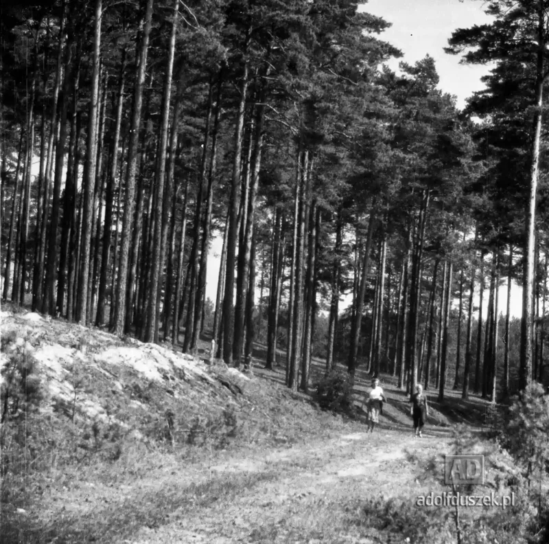 1955-Kaszuby-061