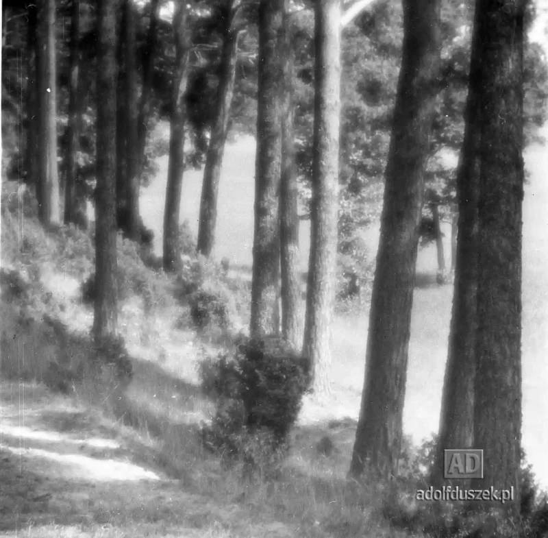 1955-Kaszuby-063