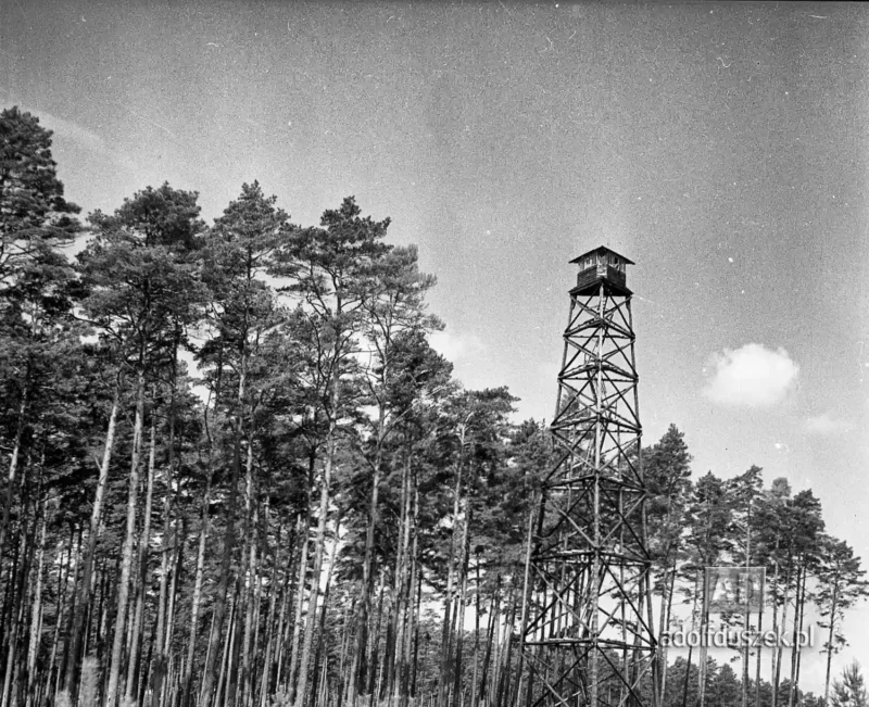1955-Kaszuby-067