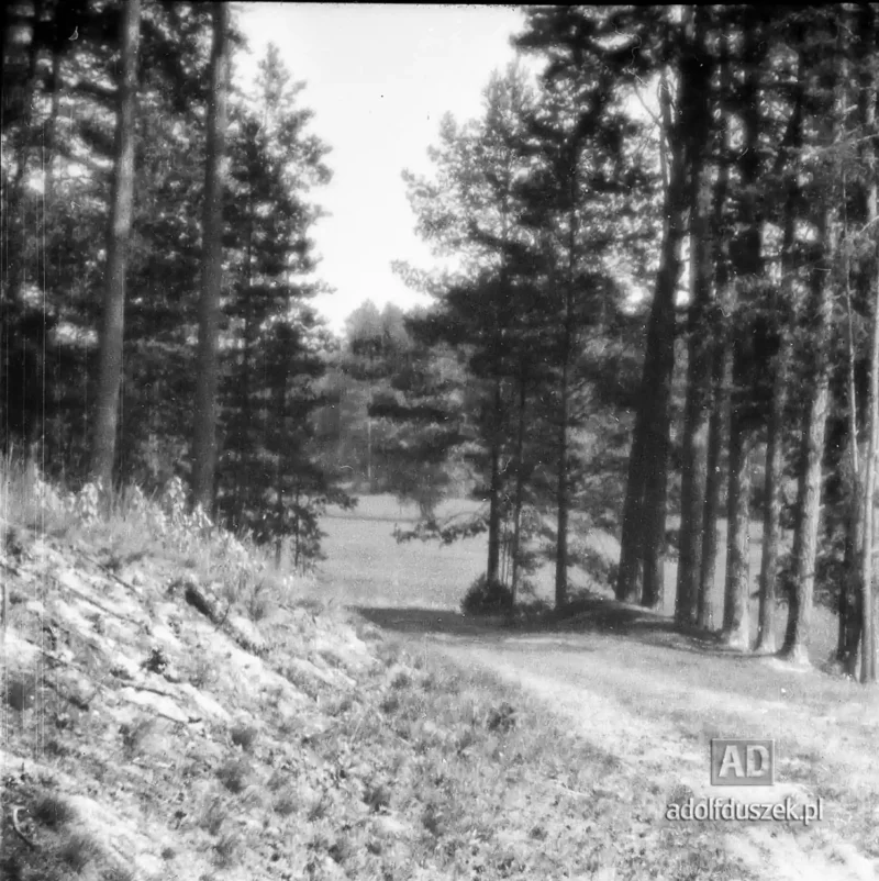 1955-Kaszuby-070
