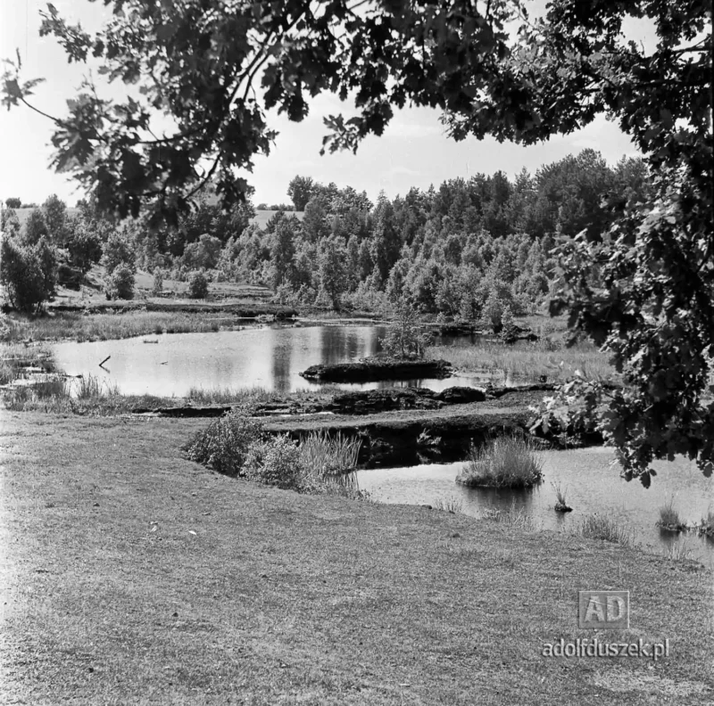 1955-Kaszuby-083