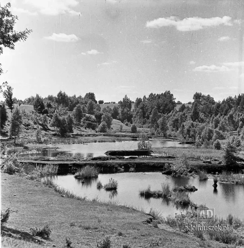 1955-Kaszuby-084