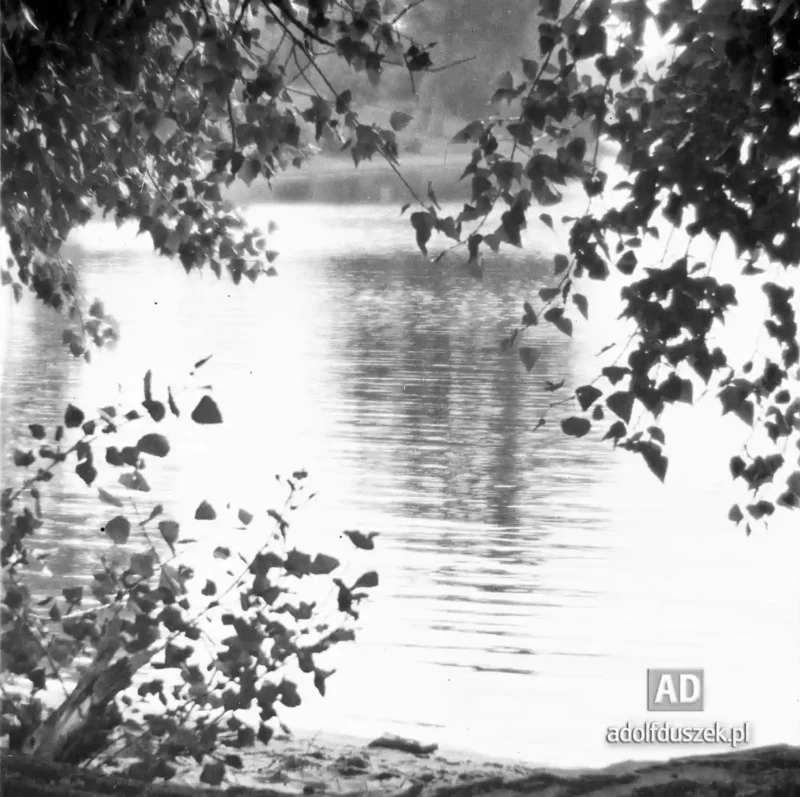 1955-Kaszuby-109