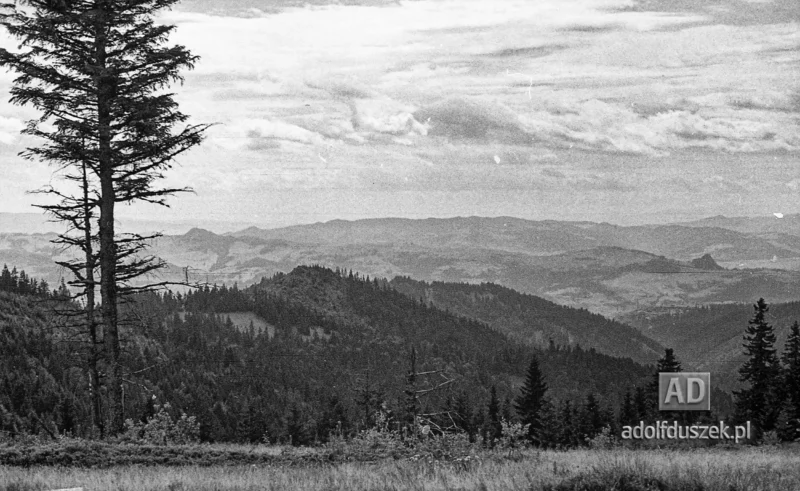195X-Pieniny-102