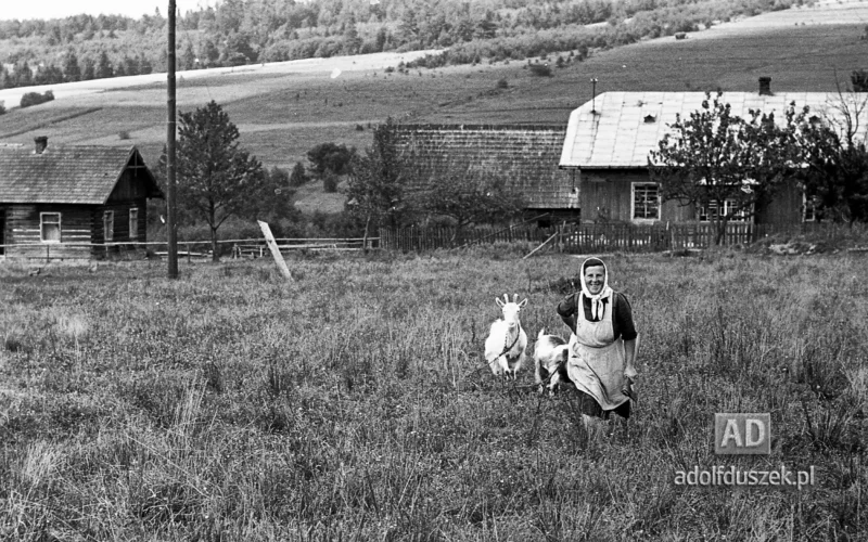 195X-Pieniny-149