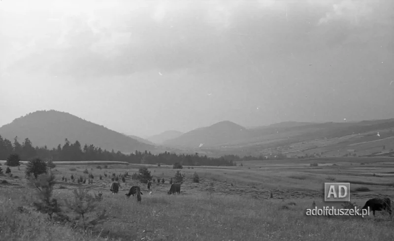 195X-Pieniny-177