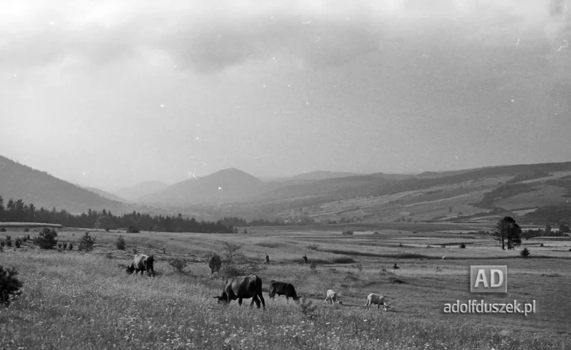 195X-Pieniny-179