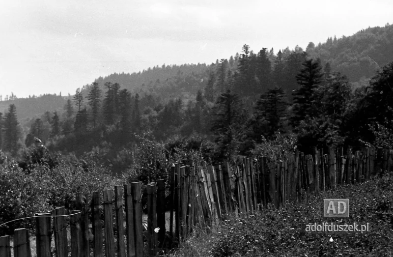 195X-Pieniny-217