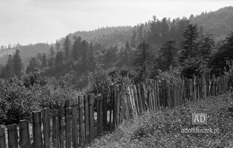 195X-Pieniny-218