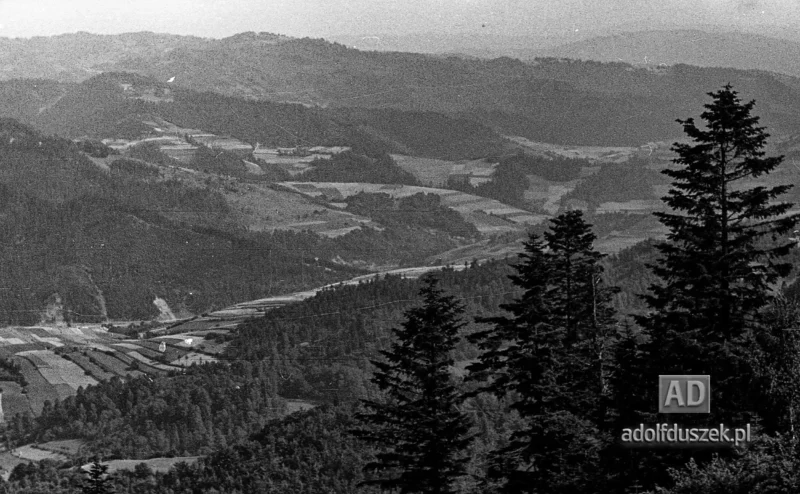 195X-Pieniny-227