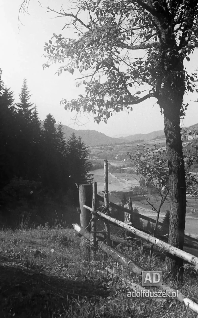 195X-Pieniny-234