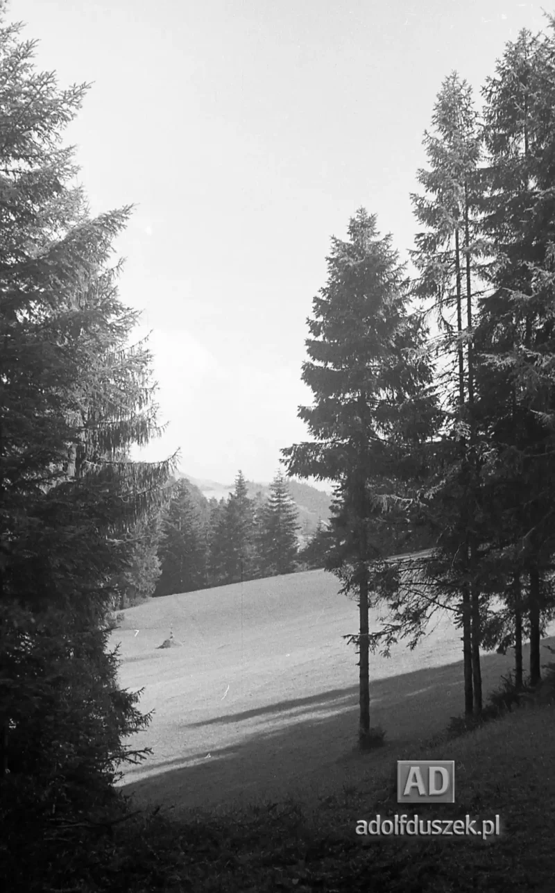 195X-Pieniny-239
