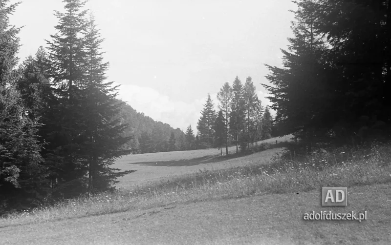 195X-Pieniny-242