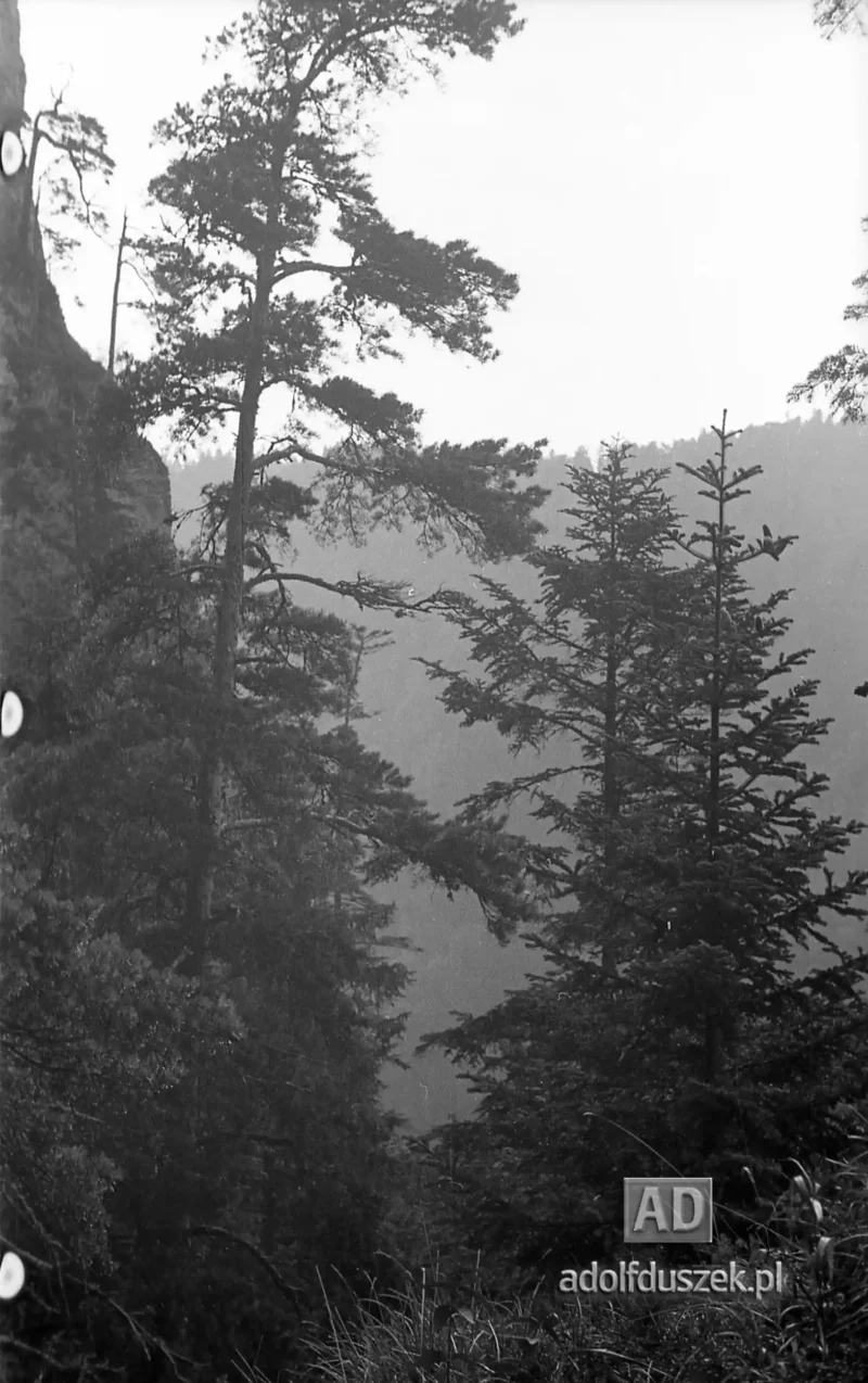 195X-Pieniny-253