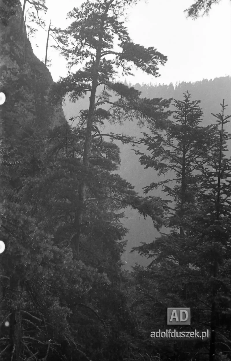 195X-Pieniny-254