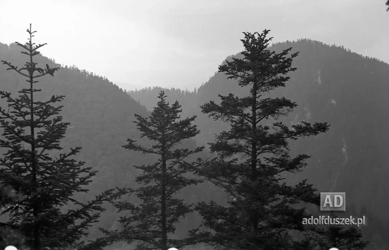 195X-Pieniny-255