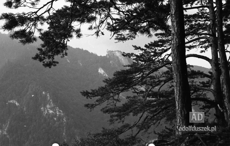 195X-Pieniny-256