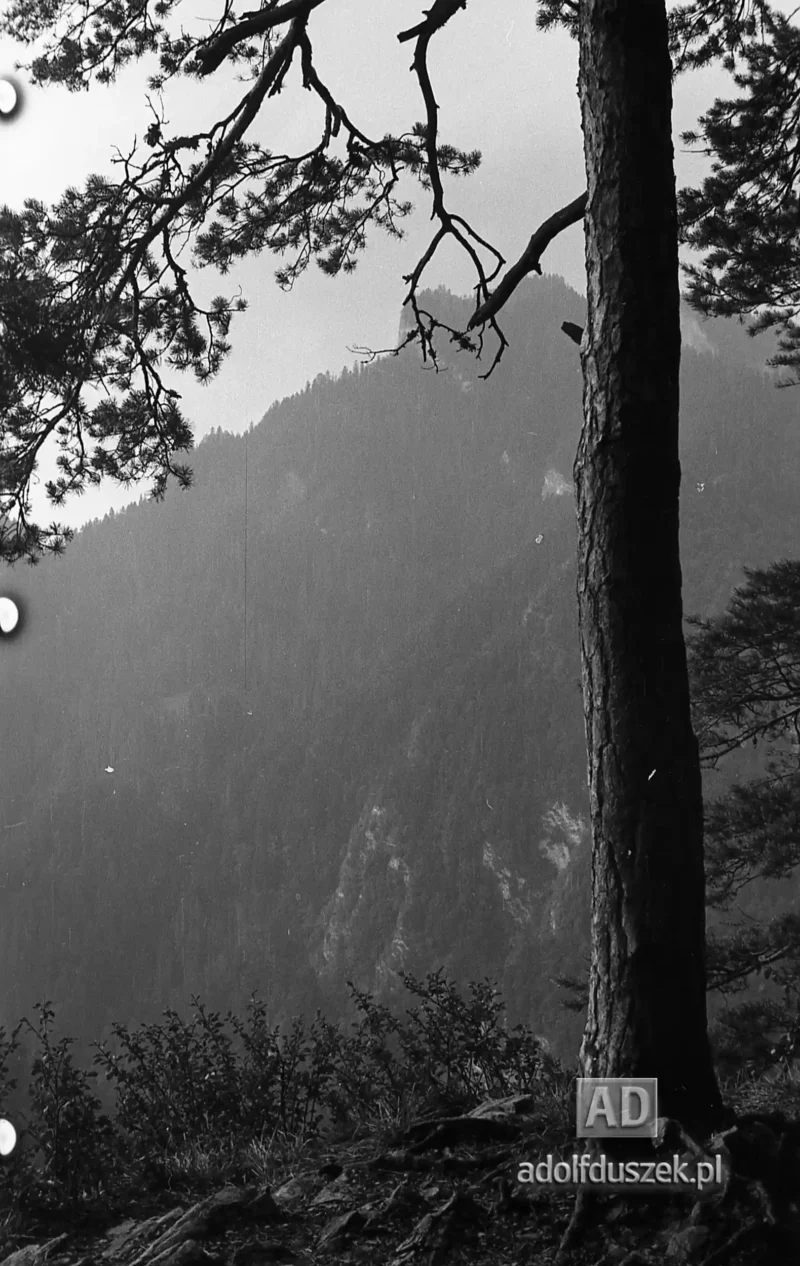 195X-Pieniny-257
