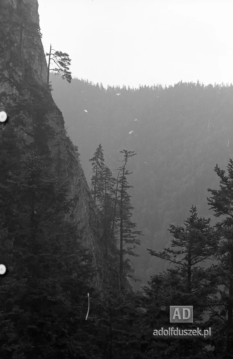 195X-Pieniny-258