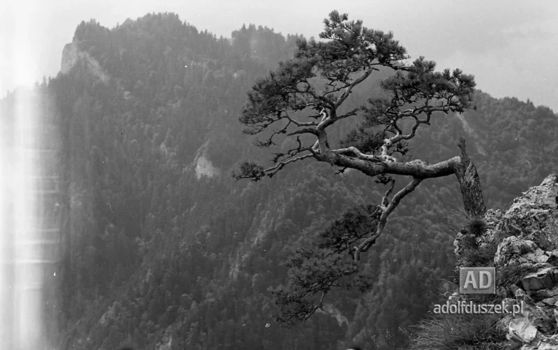 195X-Pieniny-261
