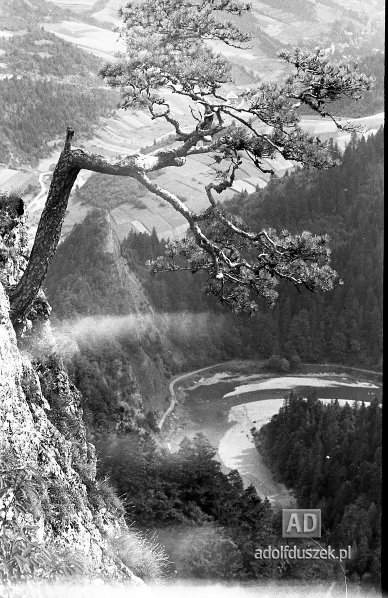 195X-Pieniny-262