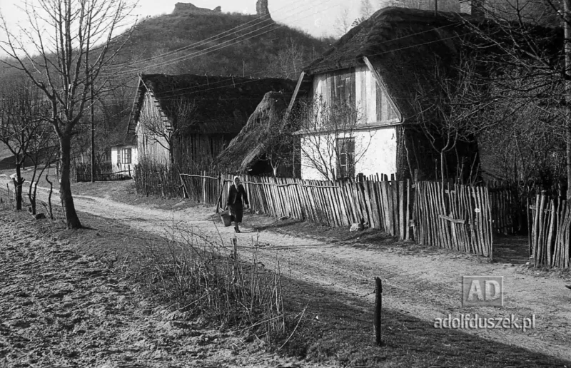 195X-Puławy-okolice-majowka-030_1