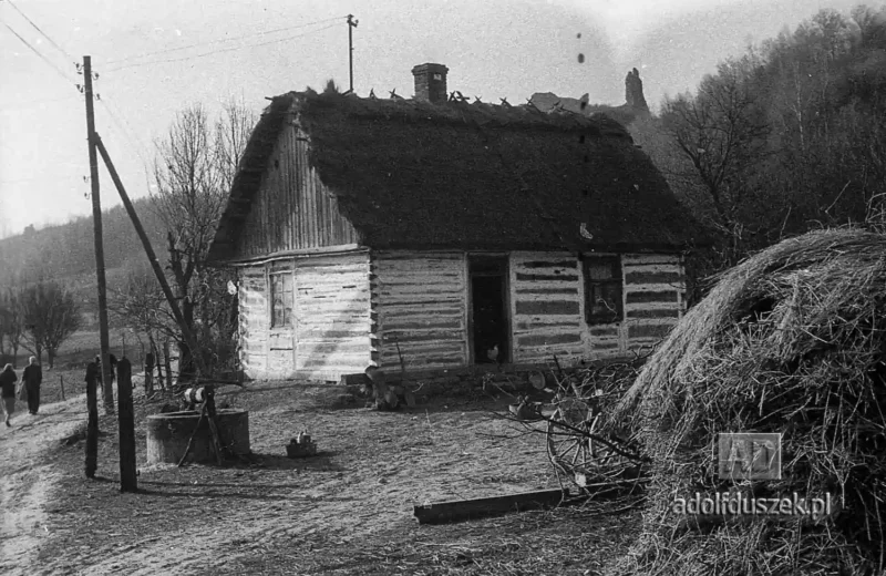 195X-Puławy-okolice-majowka-034