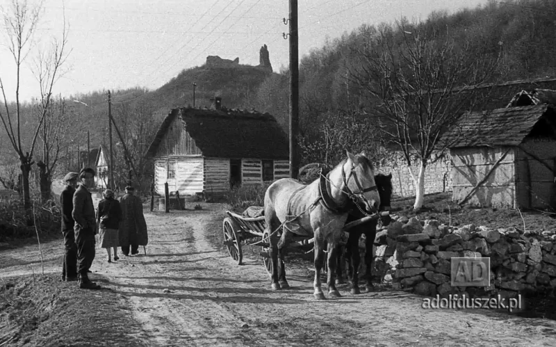 195X-Puławy-okolice-majowka-037
