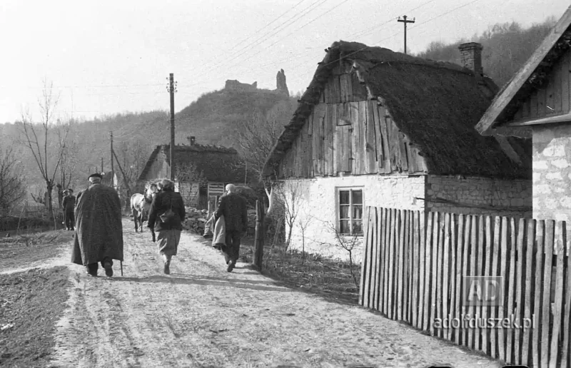 195X-Puławy-okolice-majowka-039