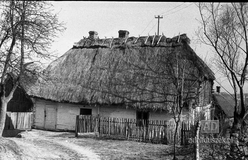 195X-Puławy-okolice-majowka-041