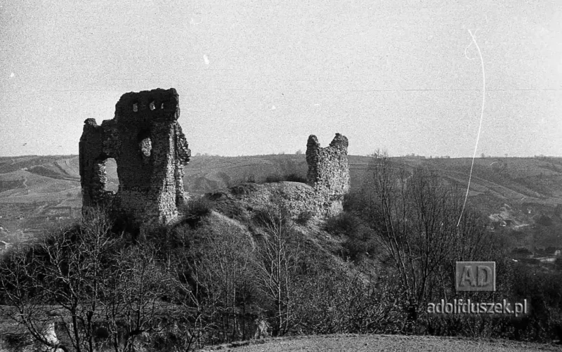 195X-Puławy-okolice-majowka-047