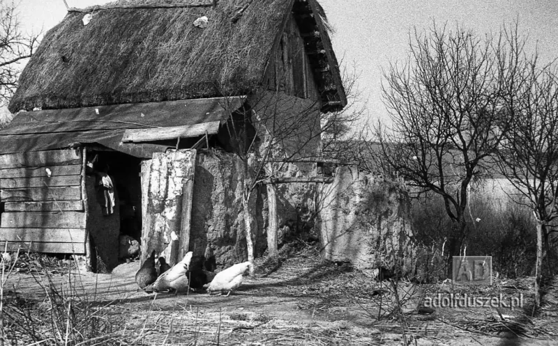 195X-Puławy-okolice-majowka-049