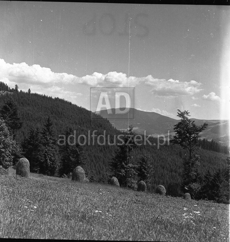 Bieszczady-001