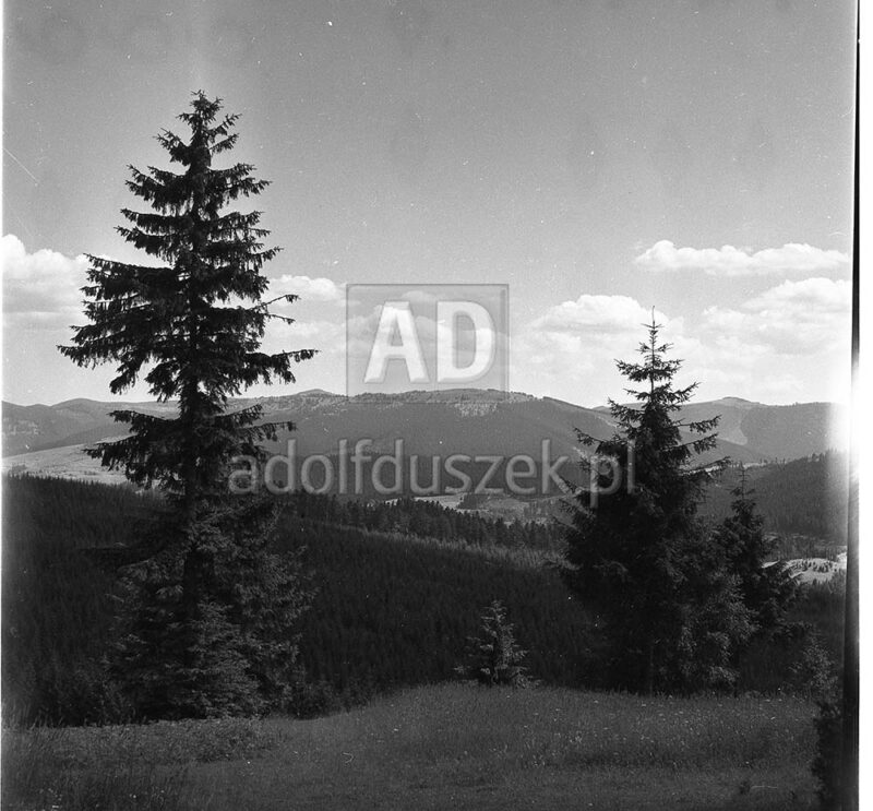 Bieszczady-018