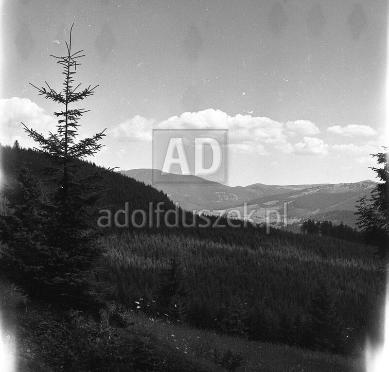Bieszczady-020
