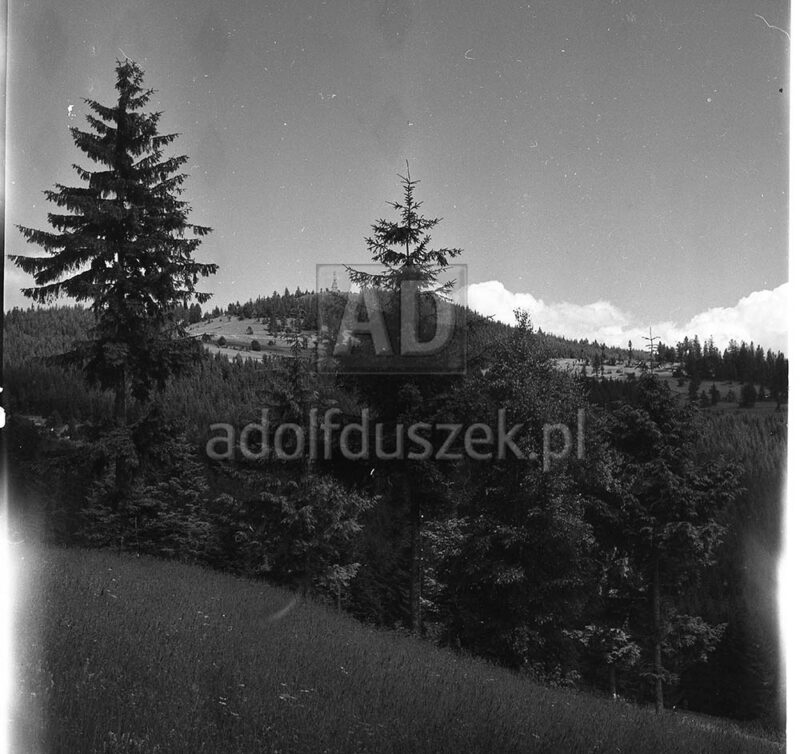 Bieszczady-021