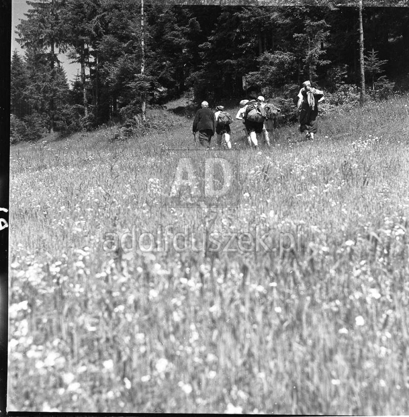 Bieszczady-022