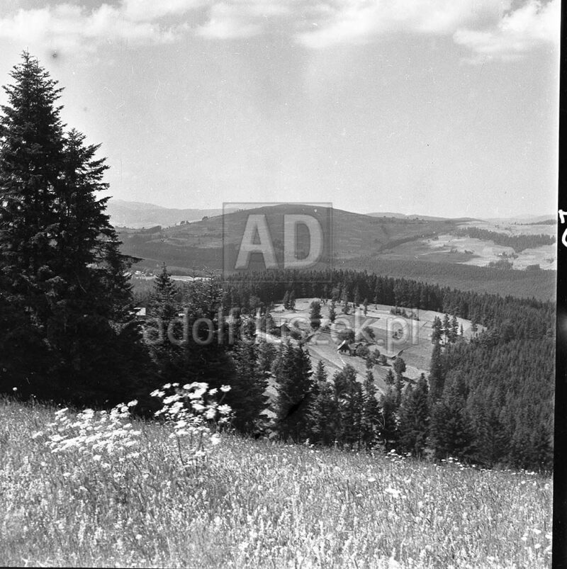 Bieszczady-033