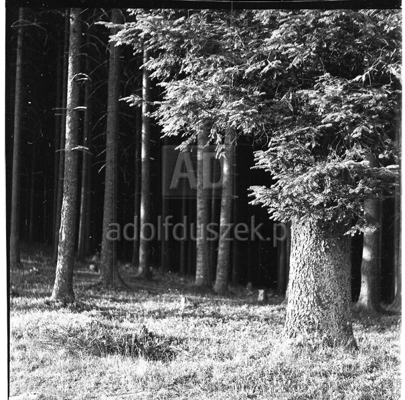 Bieszczady-036
