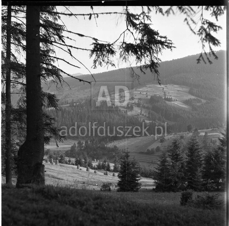 Bieszczady-045