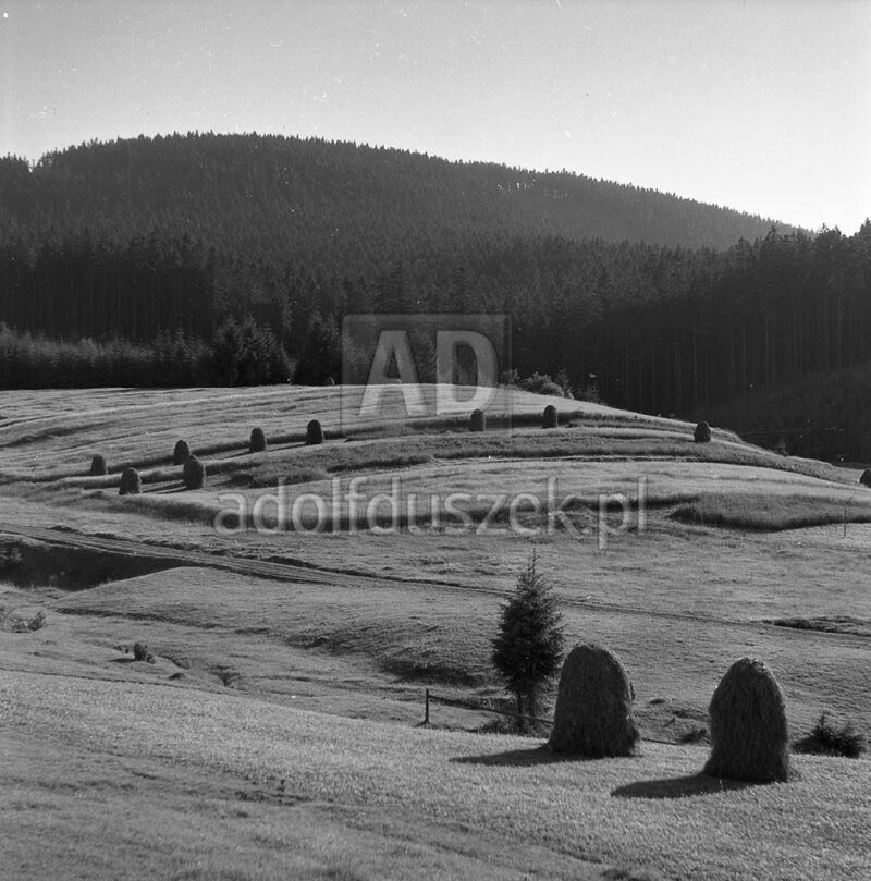 Bieszczady-056