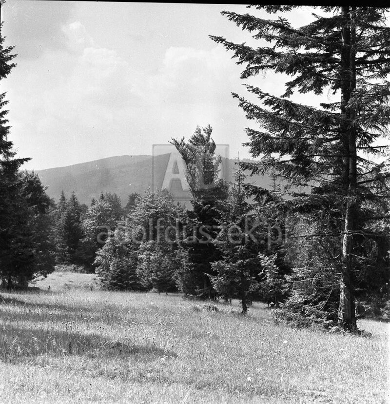 Bieszczady-069
