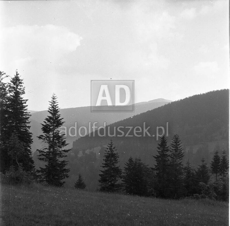 Bieszczady-071