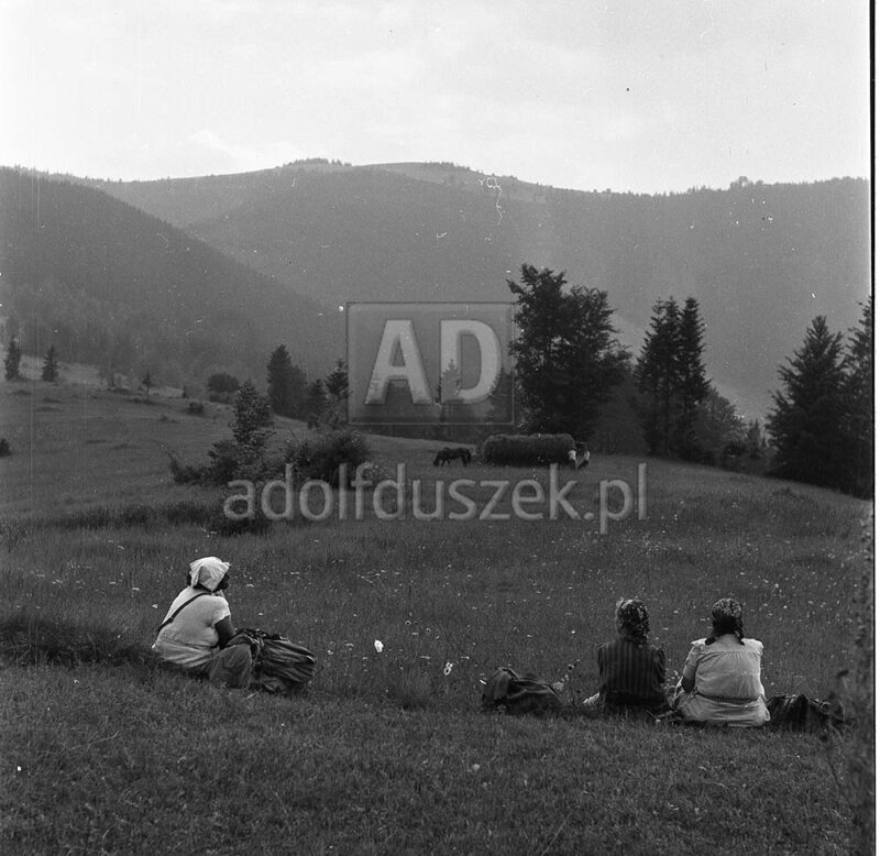 Bieszczady-072