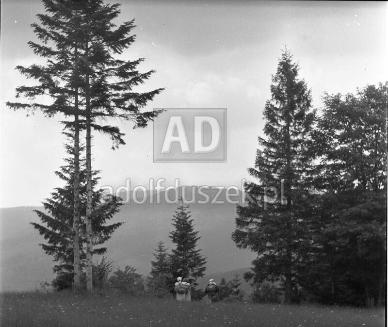 Bieszczady-077